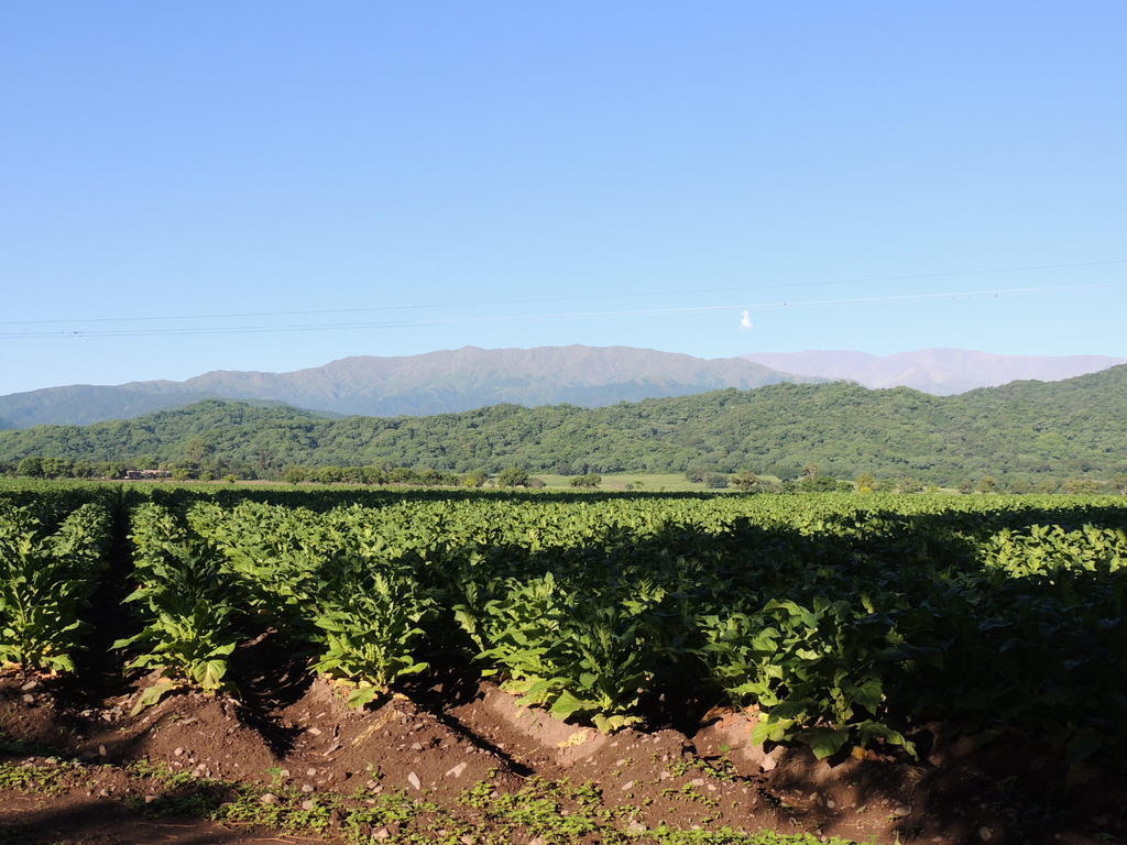 Finca Las Margaritas Chicoana Esterno foto
